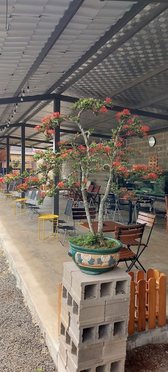 Nơi làm việc — Bonsai Kafe (ảnh 3)