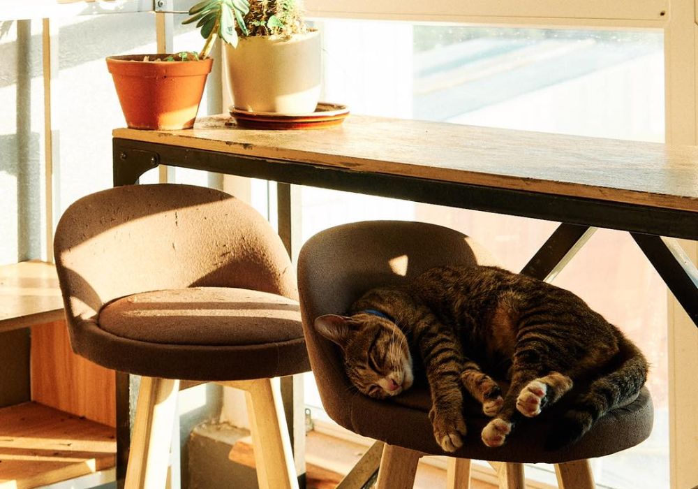Không gian 4 tầng thoáng đãng kết hợp cửa kính lớn đón nắng tại Hani Kafe 148 Tô Vĩnh Diện