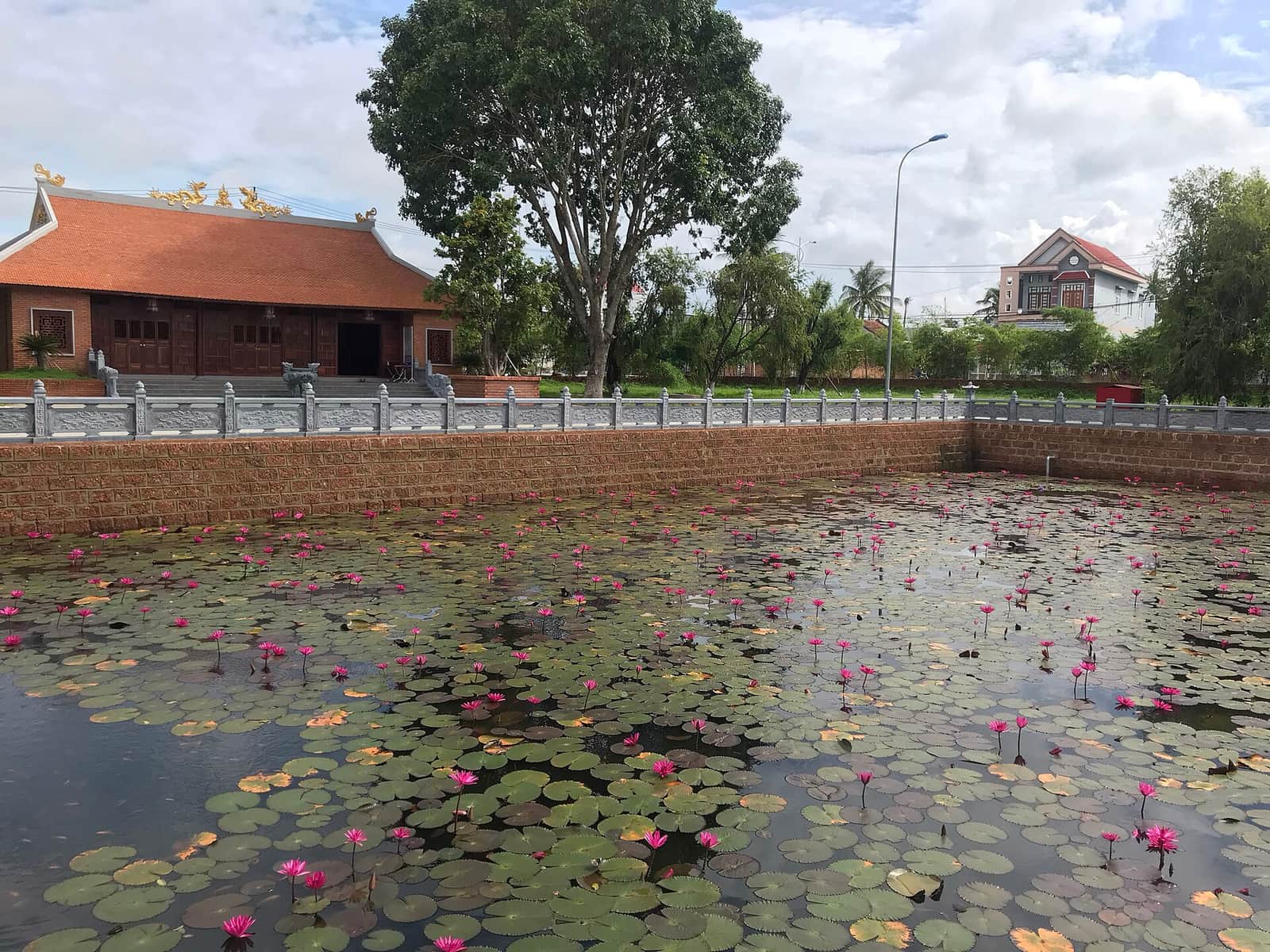 Một góc di tích An Khê Đình (điện thờ Tam kiệt) và hồ sen, quần thể Tây Sơn Thượng đạo